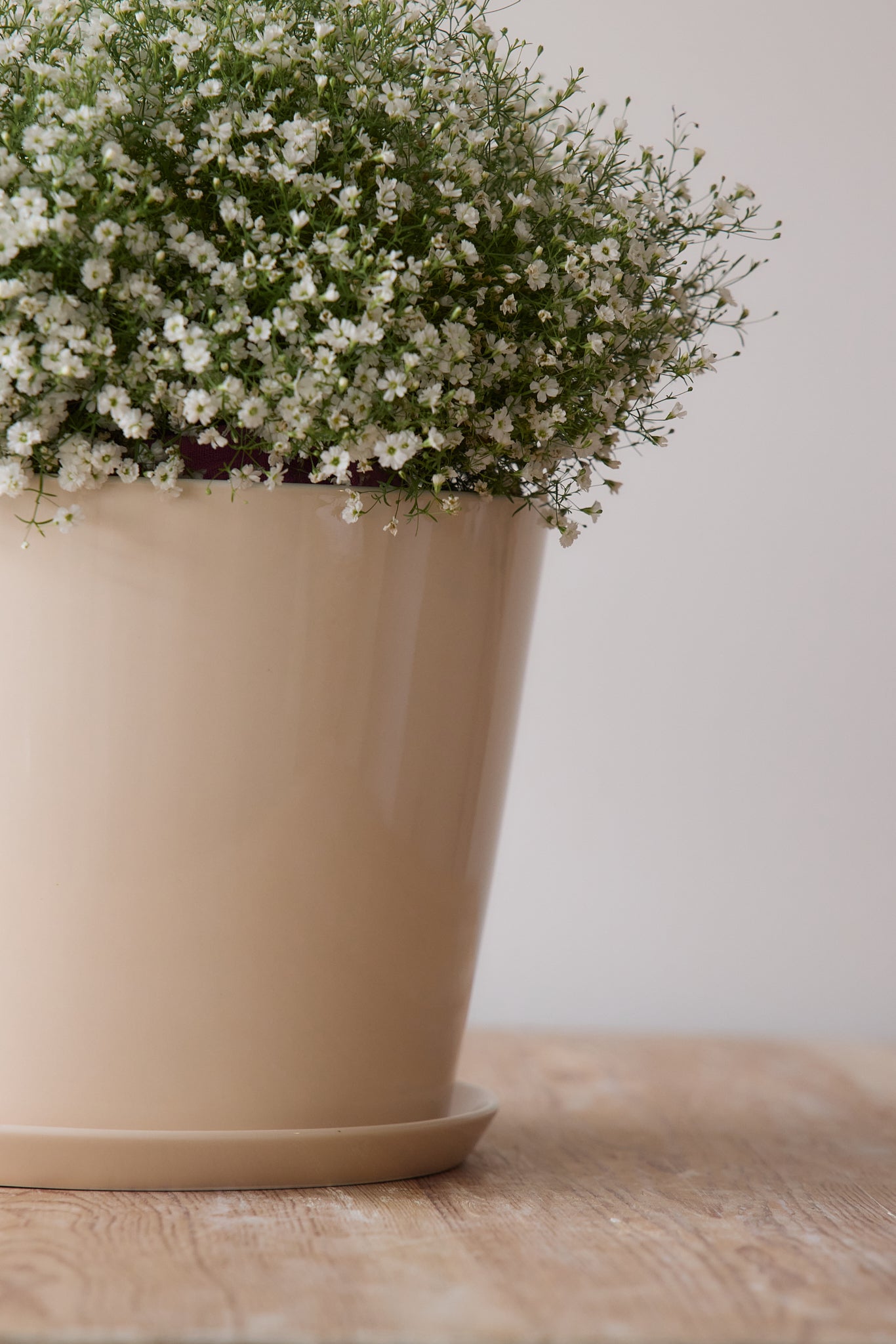 
                  
                    Flower Planter
                  
                