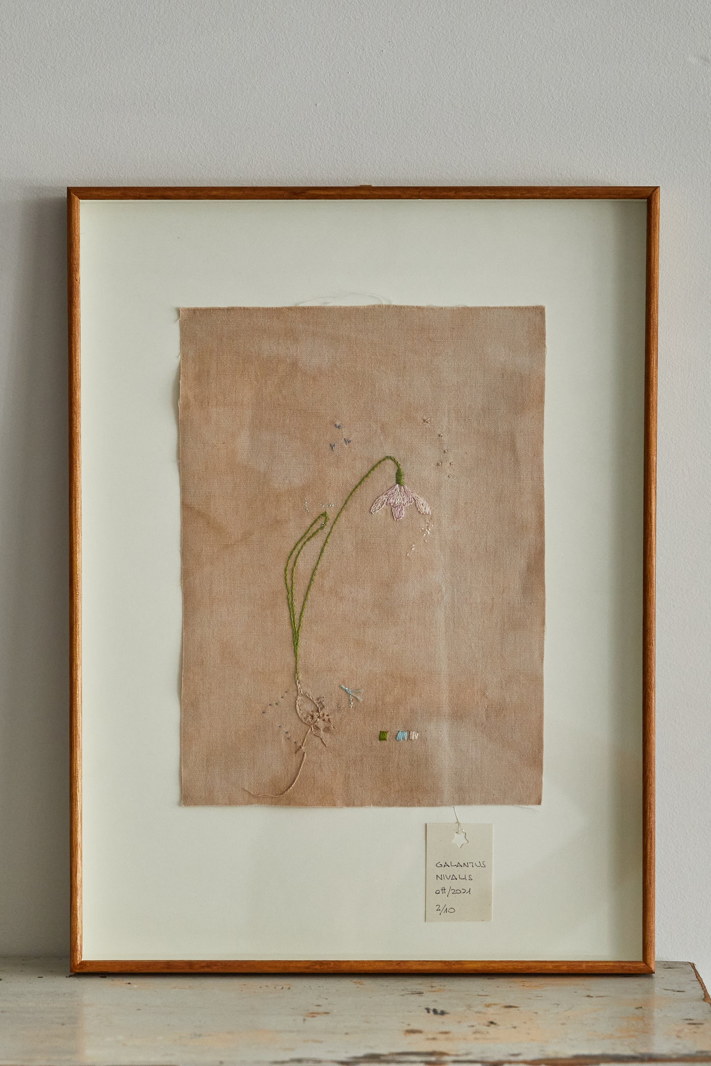 
                  
                    Herbarium Embroidery
                  
                