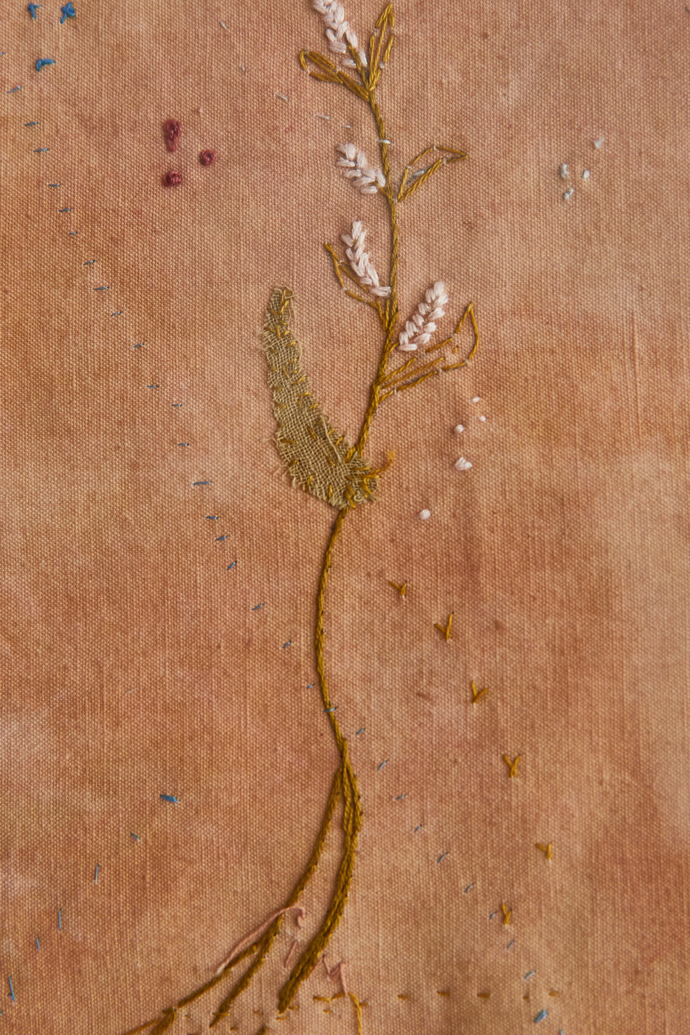 Herbarium Embroidery