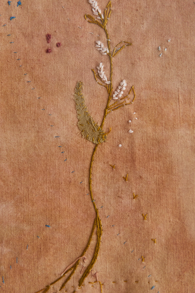 
                  
                    Herbarium Embroidery
                  
                
